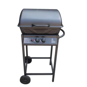 Sailetto - Barbecue à gaz 2 bruleurs avec ustensiles offerts