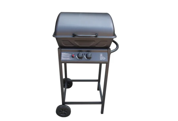 Sailetto - Barbecue à gaz 2 bruleurs avec ustensiles offerts